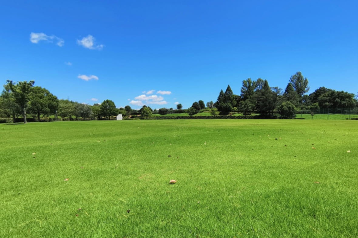 愛知県小牧市お出かけスポット